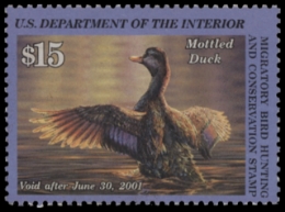 Scan of RW67 2000 Duck Stamp 