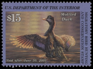 Scan of RW67 2000 Duck Stamp 