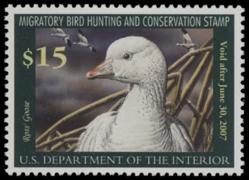 Scan of RW73 2006 Duck Stamp 