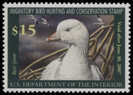 Scan of RW73 2006 Duck Stamp MNH. F-VF