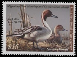 Scan of RW75 2008 Duck Stamp 