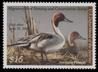 Scan of RW75 2008 Duck Stamp 