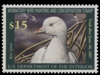 Scan of RW73 2006 Duck Stamp 