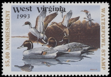 Scan of 1993 West Virginia Non Res Duck Stamp