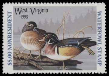 Scan of 1995 West Virginia Non Res  Duck Stamp