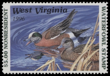 Scan of 1996 West Virginia Non Res Duck Stamp