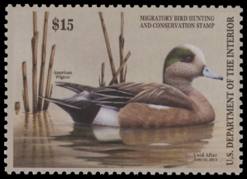 Scan of RW77 2010 Duck Stamp 