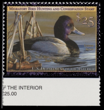 Scan of RW88 2021 Duck Stamp 