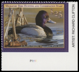 Scan of RW88 2021 Duck Stamp 