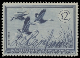 Scan of RW22 1955 Duck Stamp. Used.