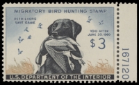 Scan of RW26 1959 Duck Stamp 