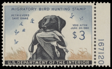 Scan of RW26 1959 Duck Stamp. MNH