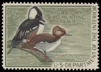 Scan of RW35 1968 Duck Stamp 