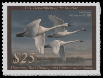 Scan of RW90 2023 Duck Stamp