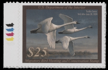 Scan of RW90 2023 Duck Stamp