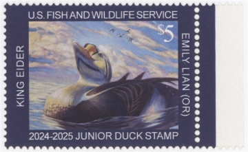 Scan of JDS32 2024 Duck Stamp 