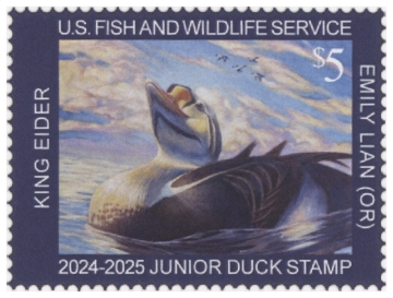 Scan of JDS32 2024 Duck Stamp 