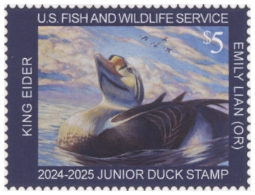 Picture of JDS32 2024 Duck Stamp 