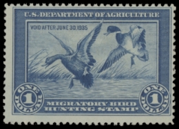 Scan of RW1 1934 Duck Stamp 