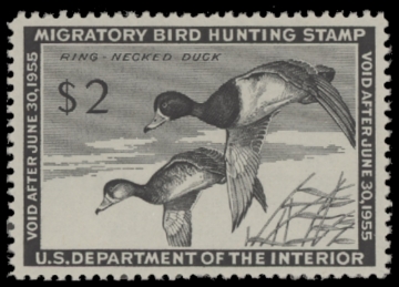 Scan of RW21 1954 Duck Stamp. MLH