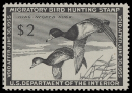 Scan of RW21 1954 Duck Stamp