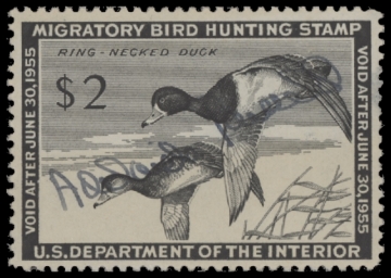 Scan of RW21 1954 Duck Stamp. Used.