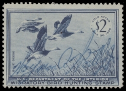 Scan of RW22 1955 Duck Stamp 