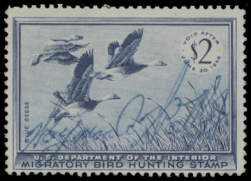 Scan of RW22 1955 Duck Stamp 