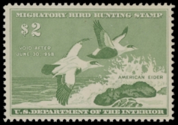 Scan of RW24 1957 Duck Stamp. MLH