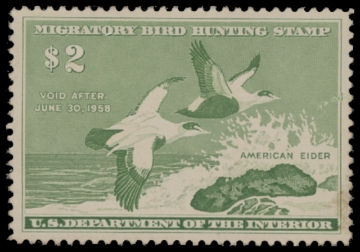 Scan of RW24 1957 Duck Stamp 