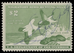 Scan of RW24 1957 Duck Stamp 