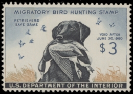 Scan of RW26 1959 Duck Stamp. MLH