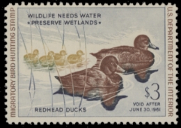 Scan of RW27 1960 Duck Stamp 