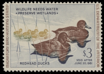 Scan of RW27 1960 Duck Stamp. MLH