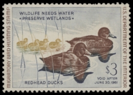 Scan of RW27 1960 Duck Stamp 