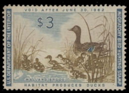 Scan of RW28 1966 Duck Stamp 