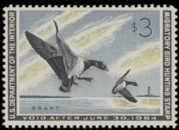 Scan of RW30 1963 Duck Stamp. MLH