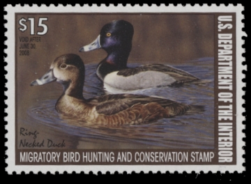 Scan of RW74 2007 Duck Stamp 