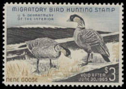 Scan of RW31 1964 Duck Stamp 