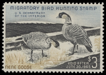 Scan of RW31 1964 Duck Stamp.MNH