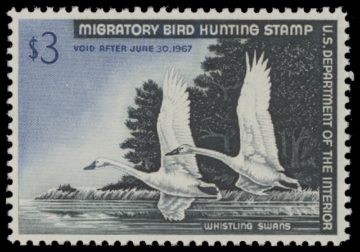 Scan of RW33 1966 Duck Stamp 