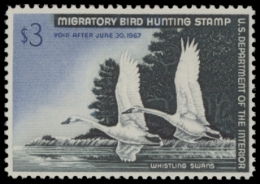 Scan of RW33 1966 Duck Stamp. MLH