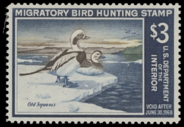 Scan of RW34 1967 Duck Stamp. MLH