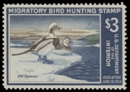 Scan of RW34 1967 Duck Stamp 