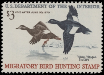 Scan of RW36 1969 Duck Stamp. MLH