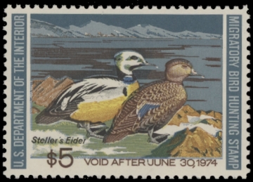 Scan of RW40 1973 Duck Stamp