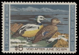Scan of RW40 1973 Duck Stamp. Unsigned