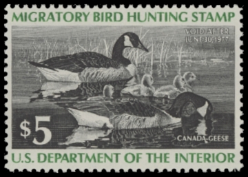 Scan of RW43 1976 Duck Stamp 