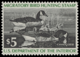 Scan of RW43 1976 Duck Stamp. MLH