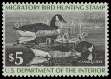Scan of RW43 1976 Duck Stamp. MLH